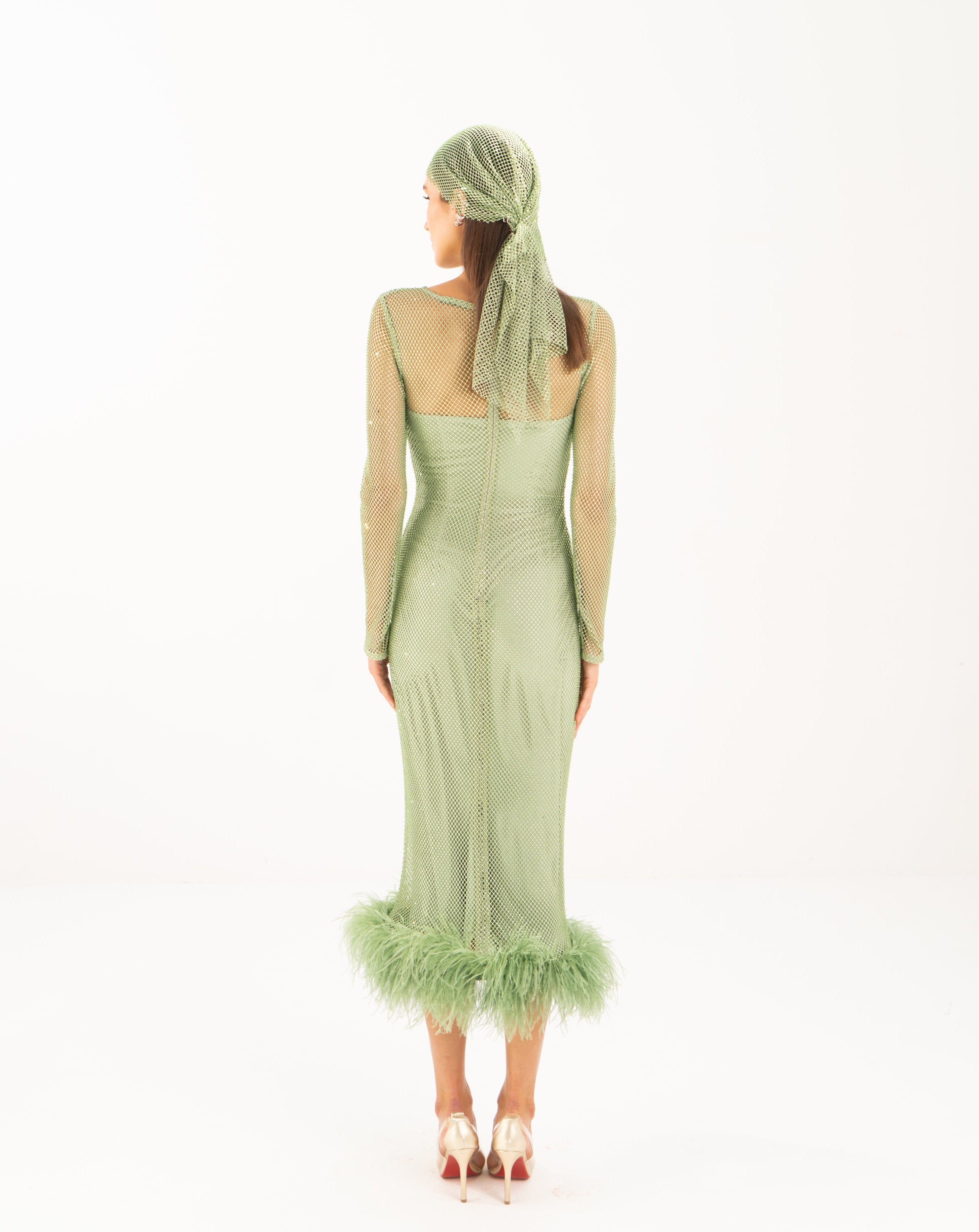Feather-trimmed Crystal Embellished A-line Dress