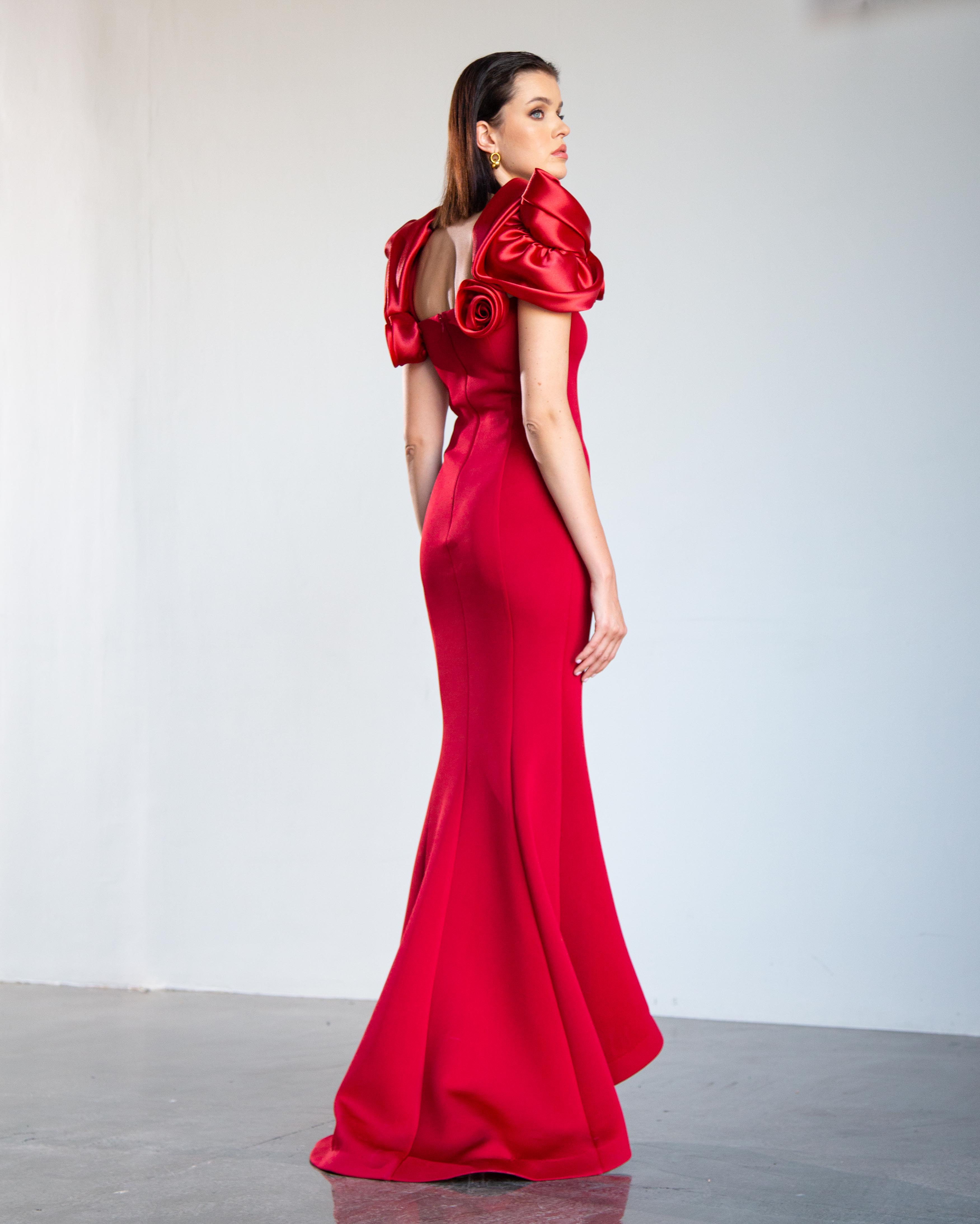 Rose Sleeve Panel Maxi Dress - Cherry Red