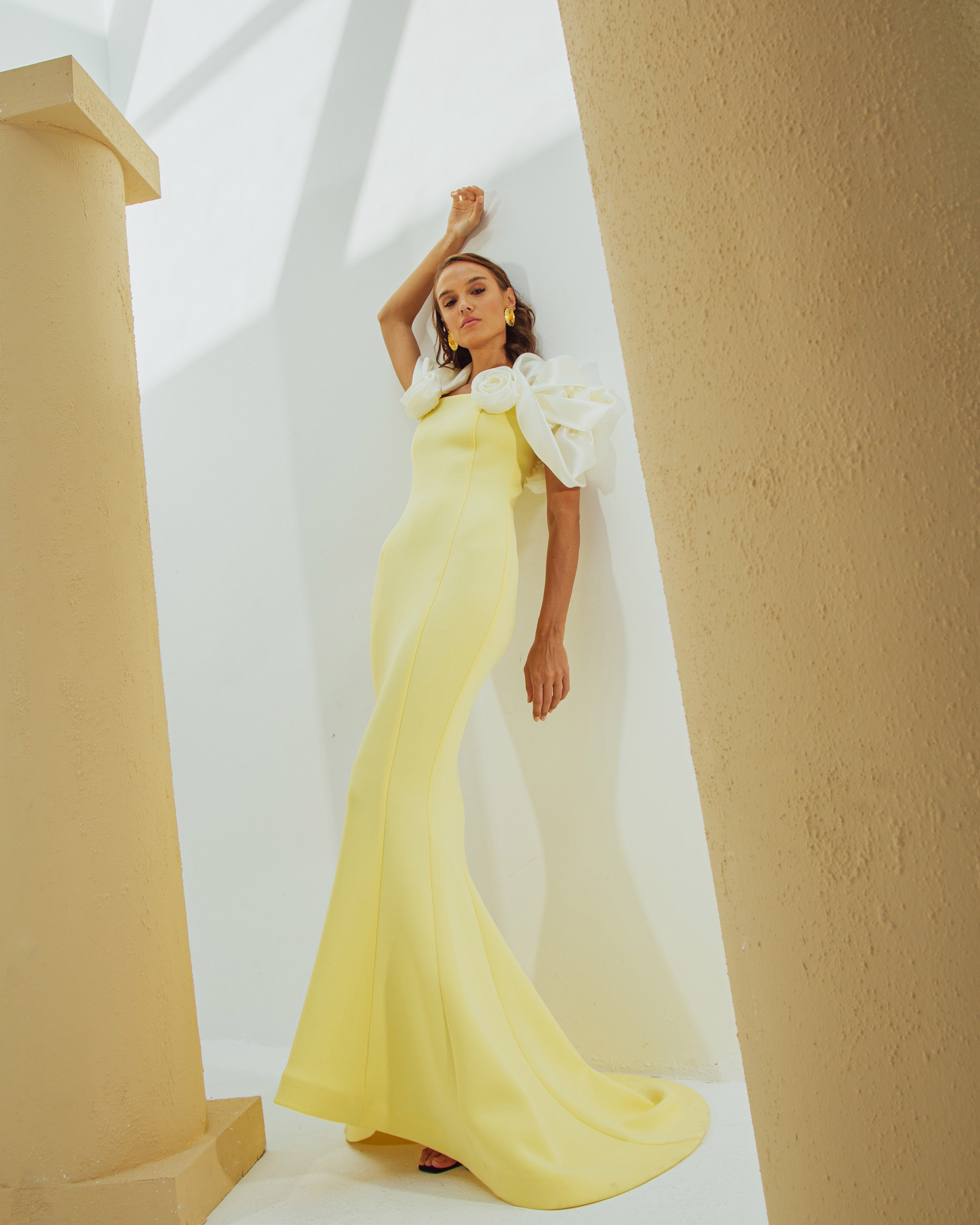 Rose Sleeve Panel Maxi Dress - Yellow