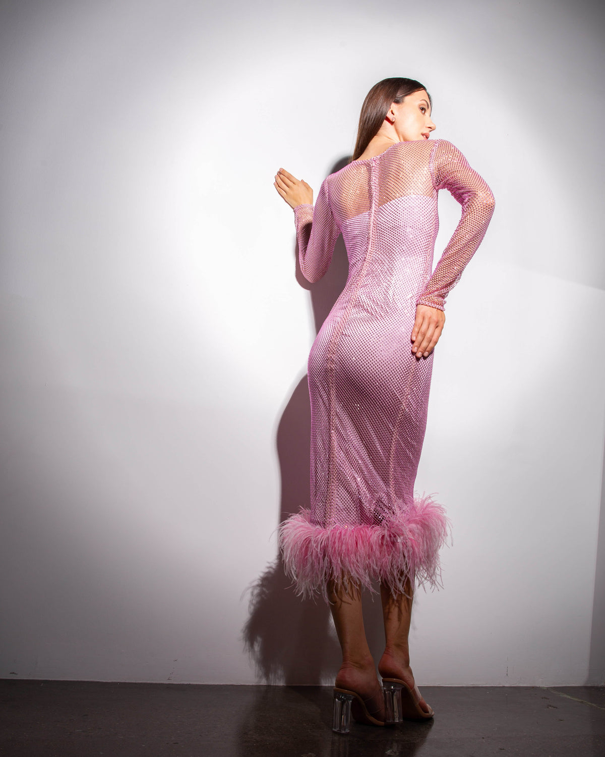 Feather-trimmed Crystal Embellished A-line Dress