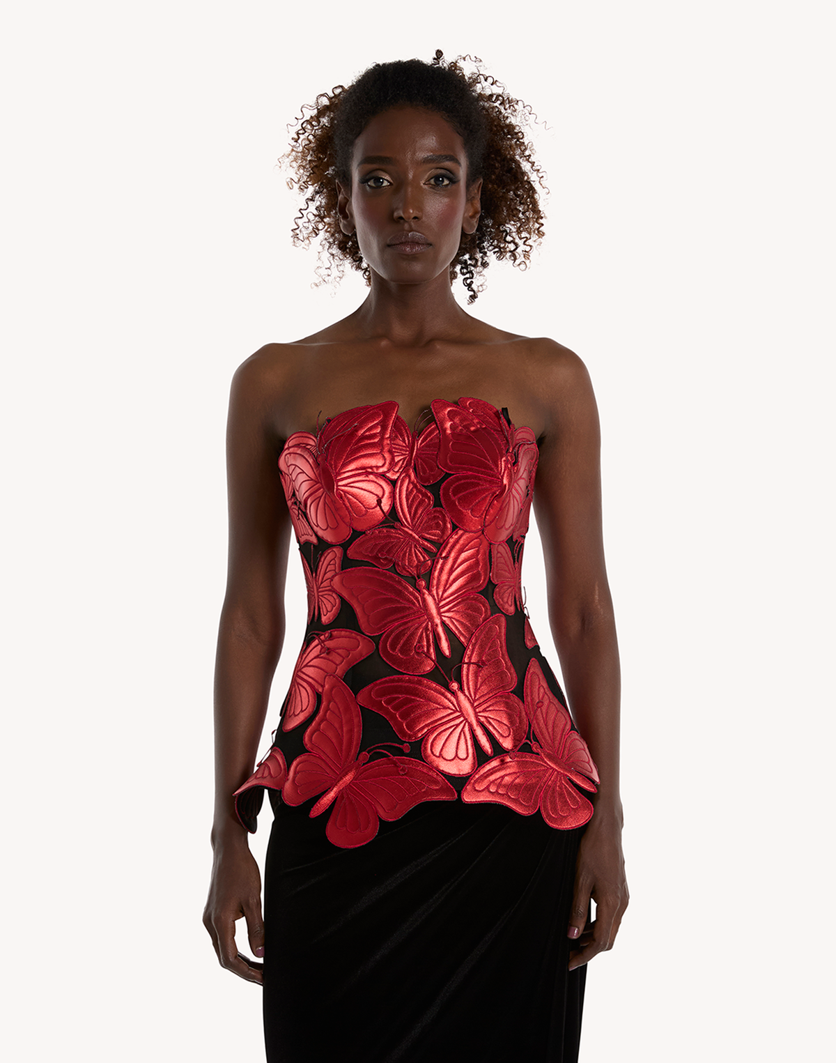 Metallic Papillon Appliqué Corset