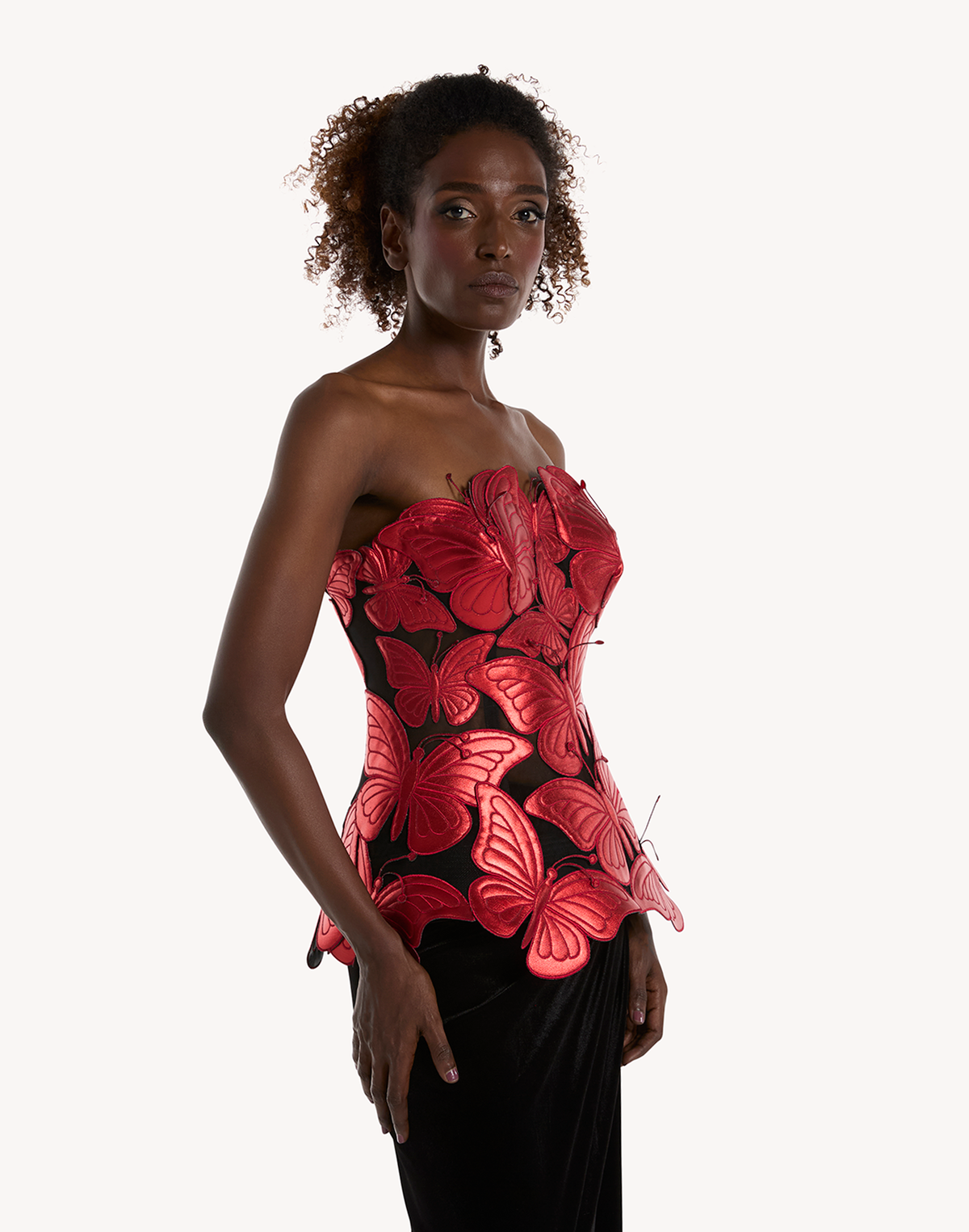 Metallic Papillon Appliqué Corset