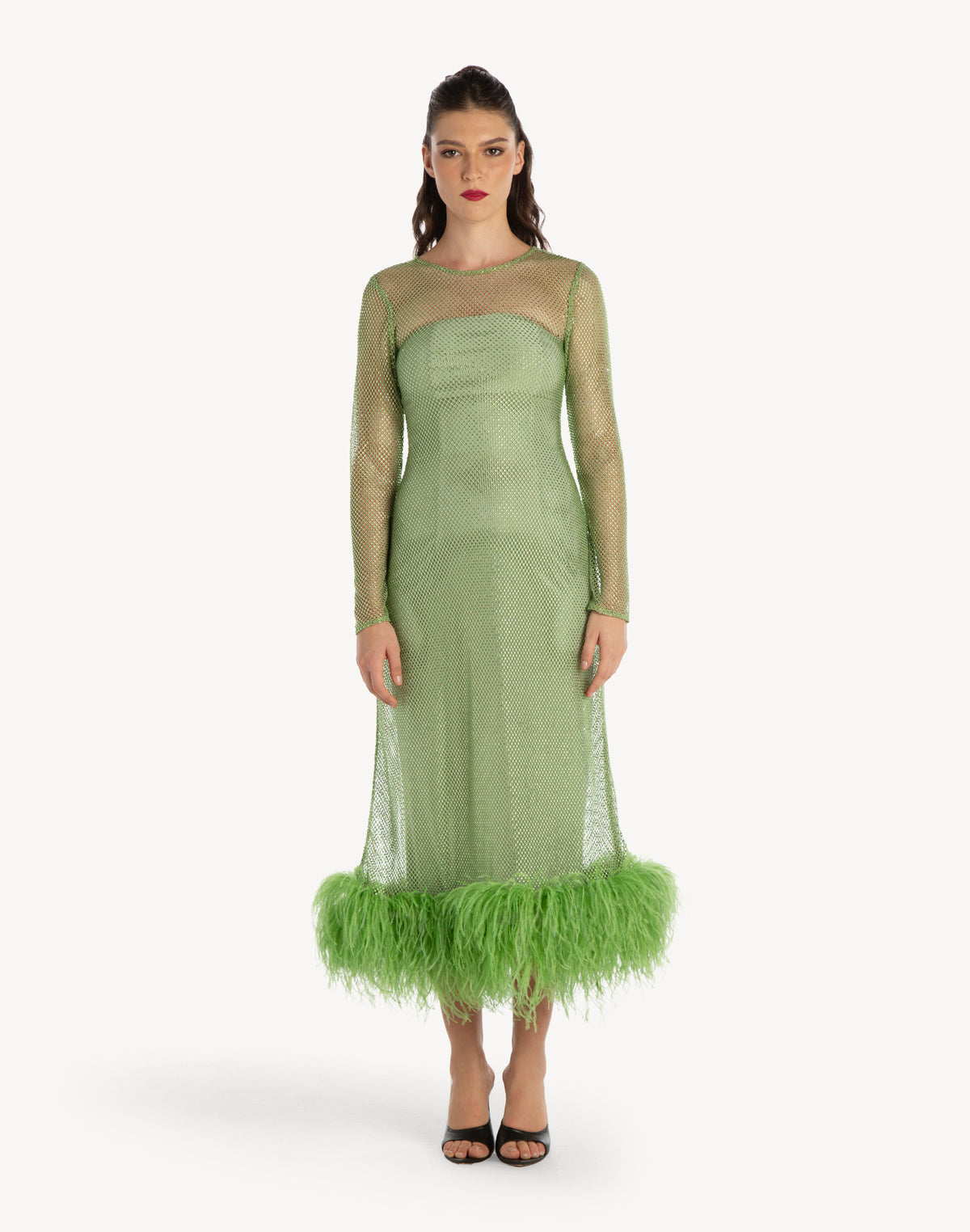 Feather-trimmed Crystal Embellished A-line Dress