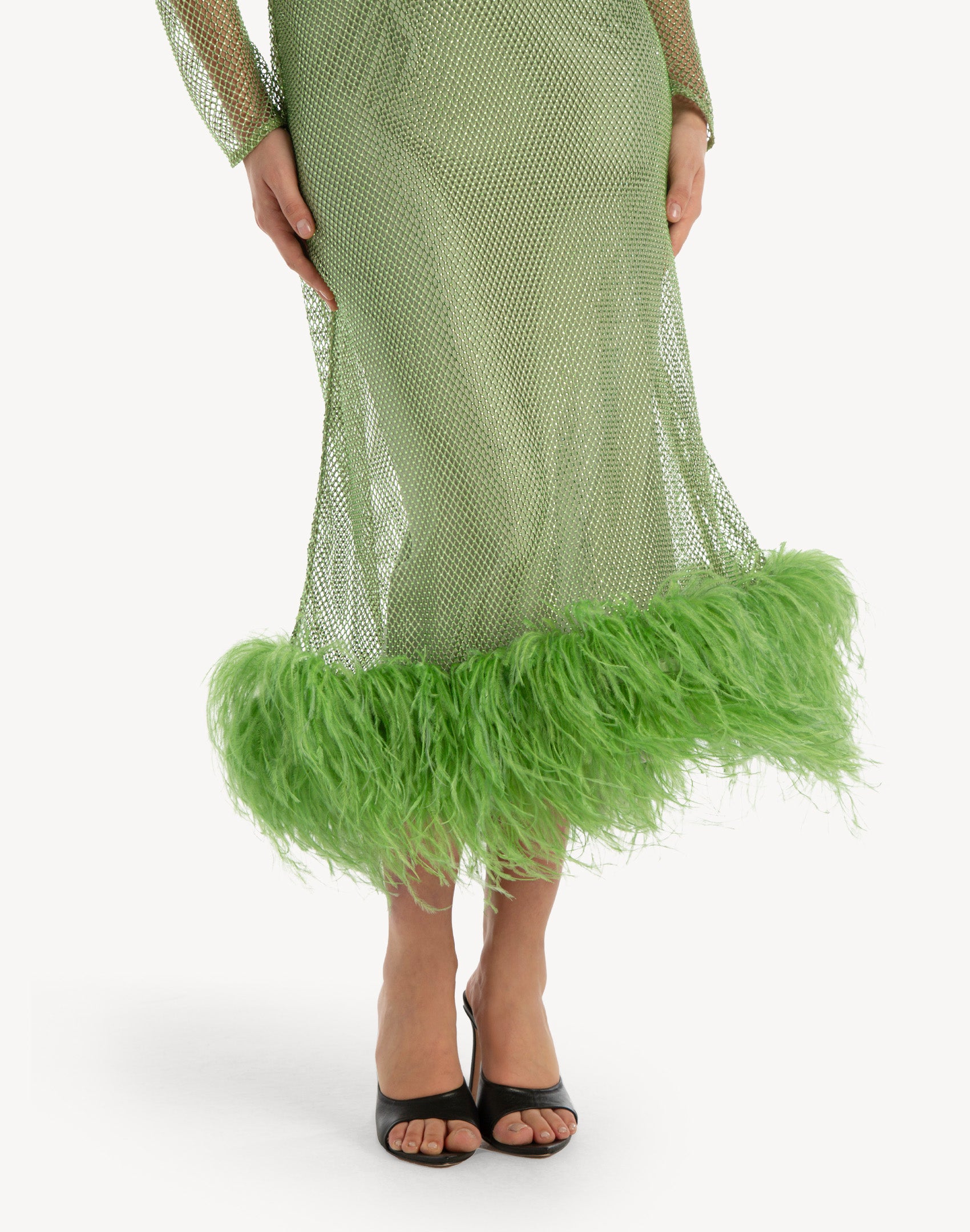 Feather-trimmed Crystal Embellished A-line Dress