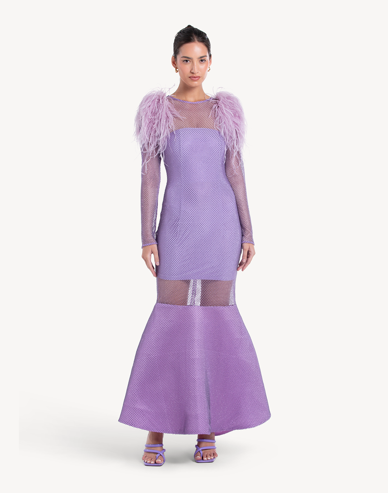 Eclipse Crystal Feather-trimmed Gown