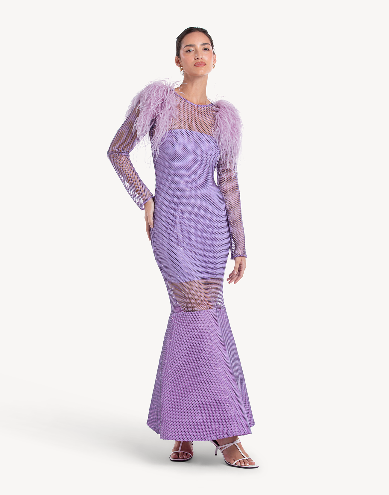 Eclipse Crystal Feather-trimmed Gown