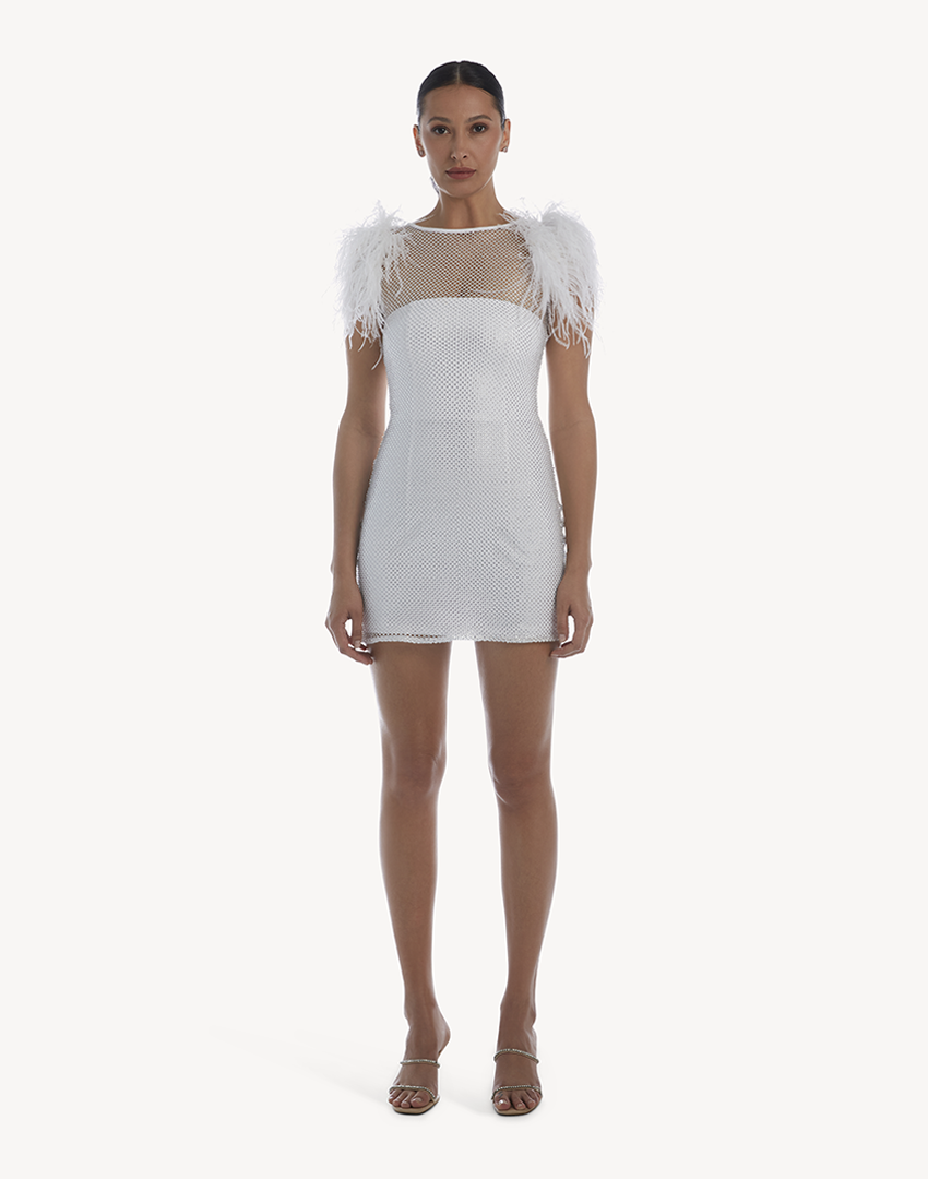Crystal Sleeveless Feather-Trimmed Mini Dress