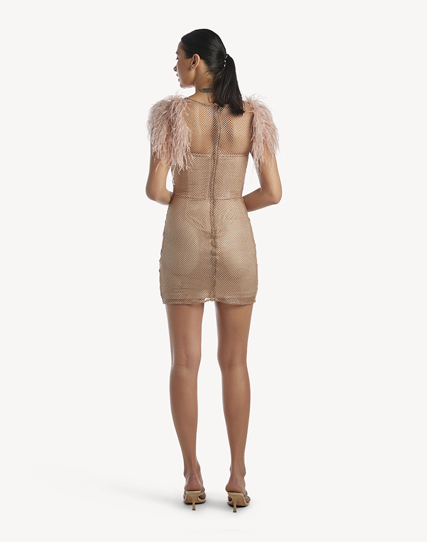 Crystal Sleeveless Feather-Trimmed Mini Dress