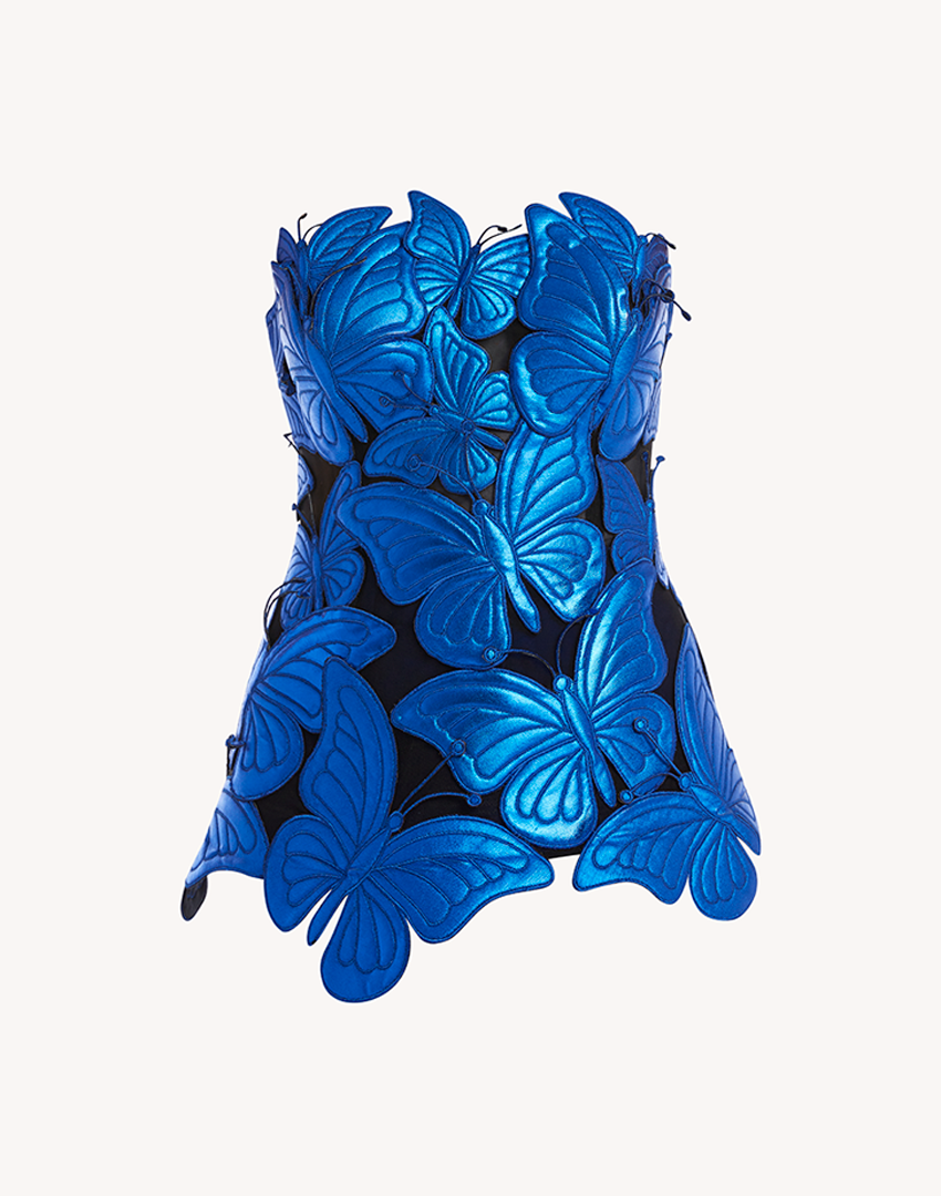 Metallic Papillon Appliqué Corset