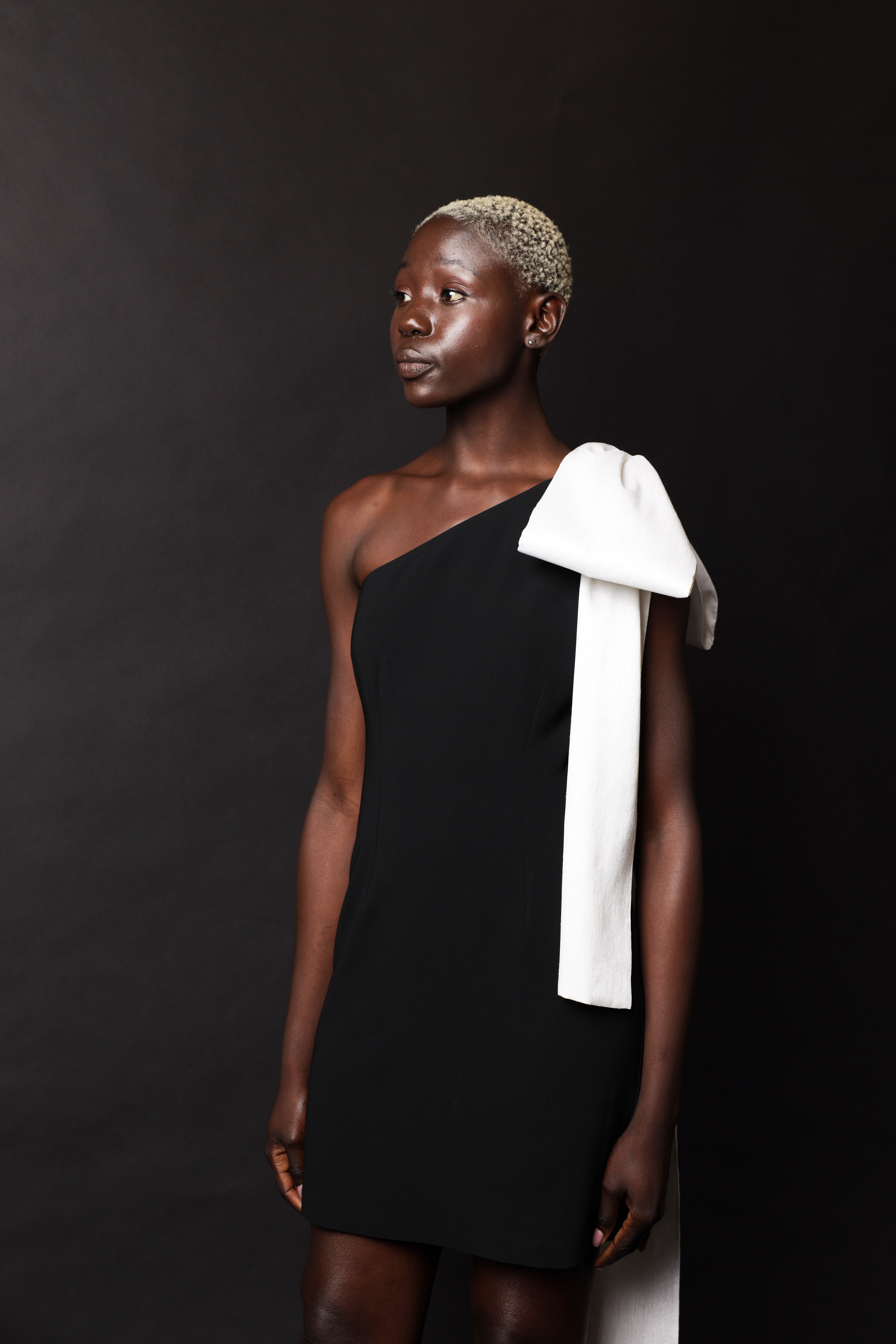 Savanna Signature Bow Mini Dress