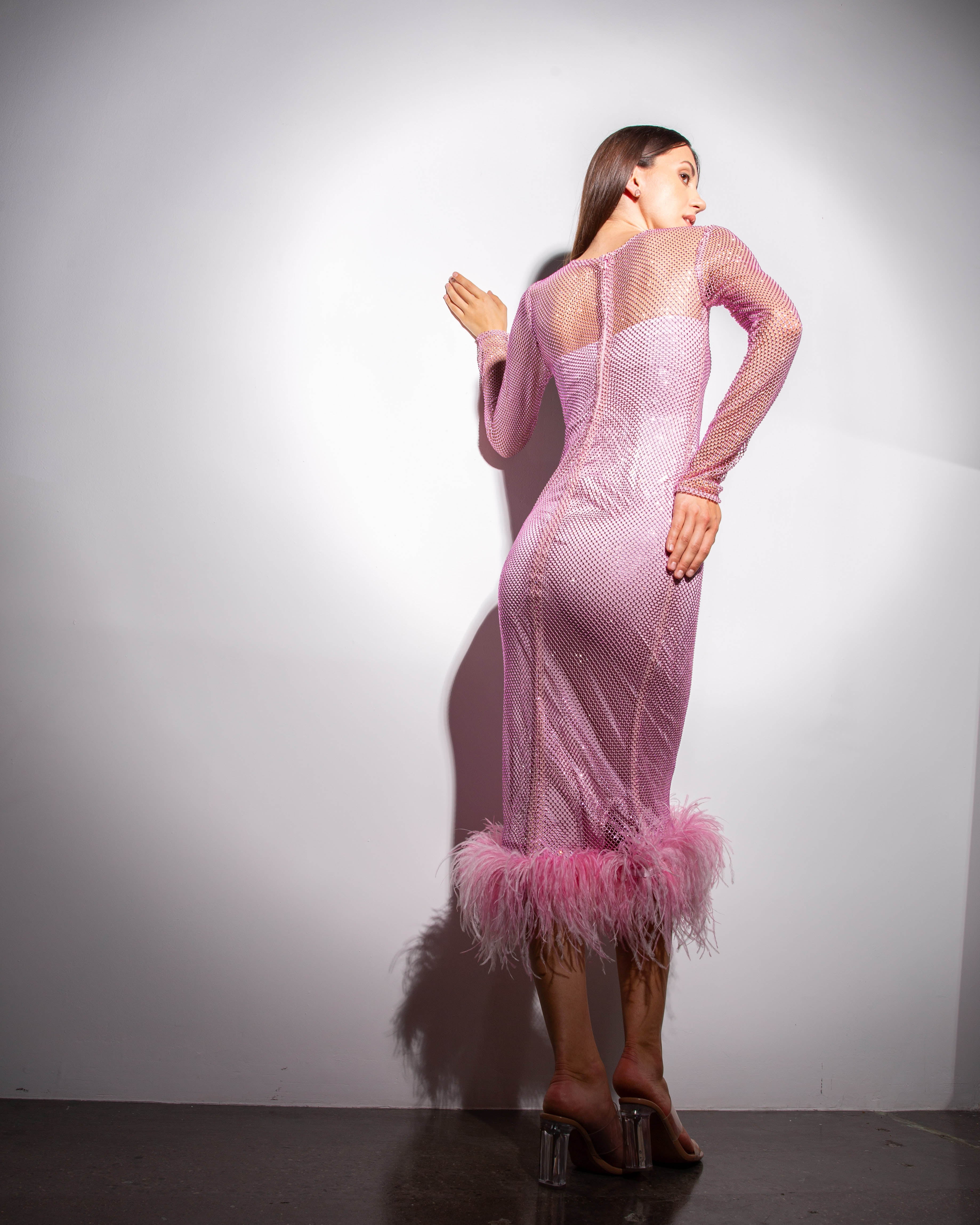 Feather-trimmed Crystal Embellished A-line Dress