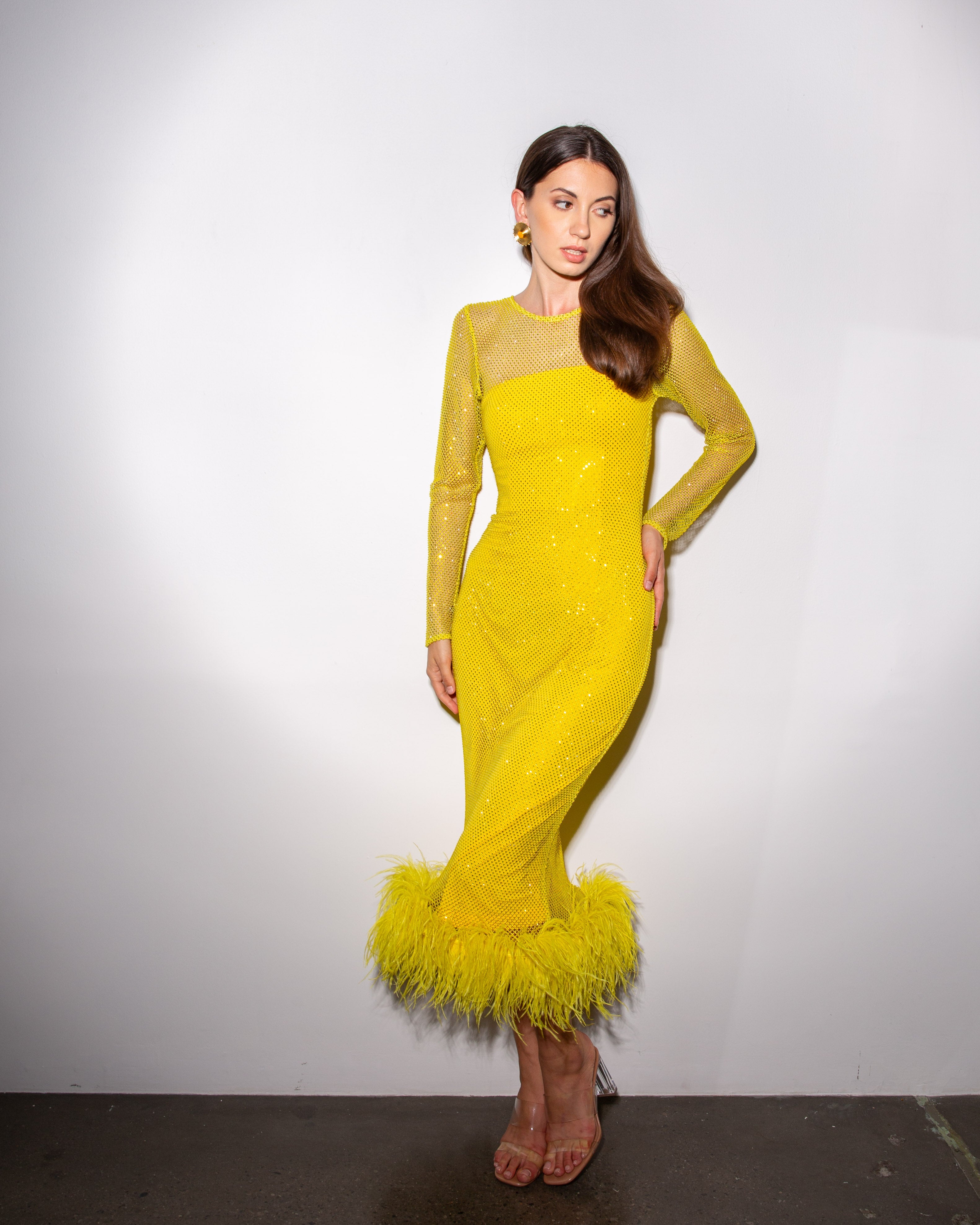 Feather-trimmed Crystal Embellished A-line Dress