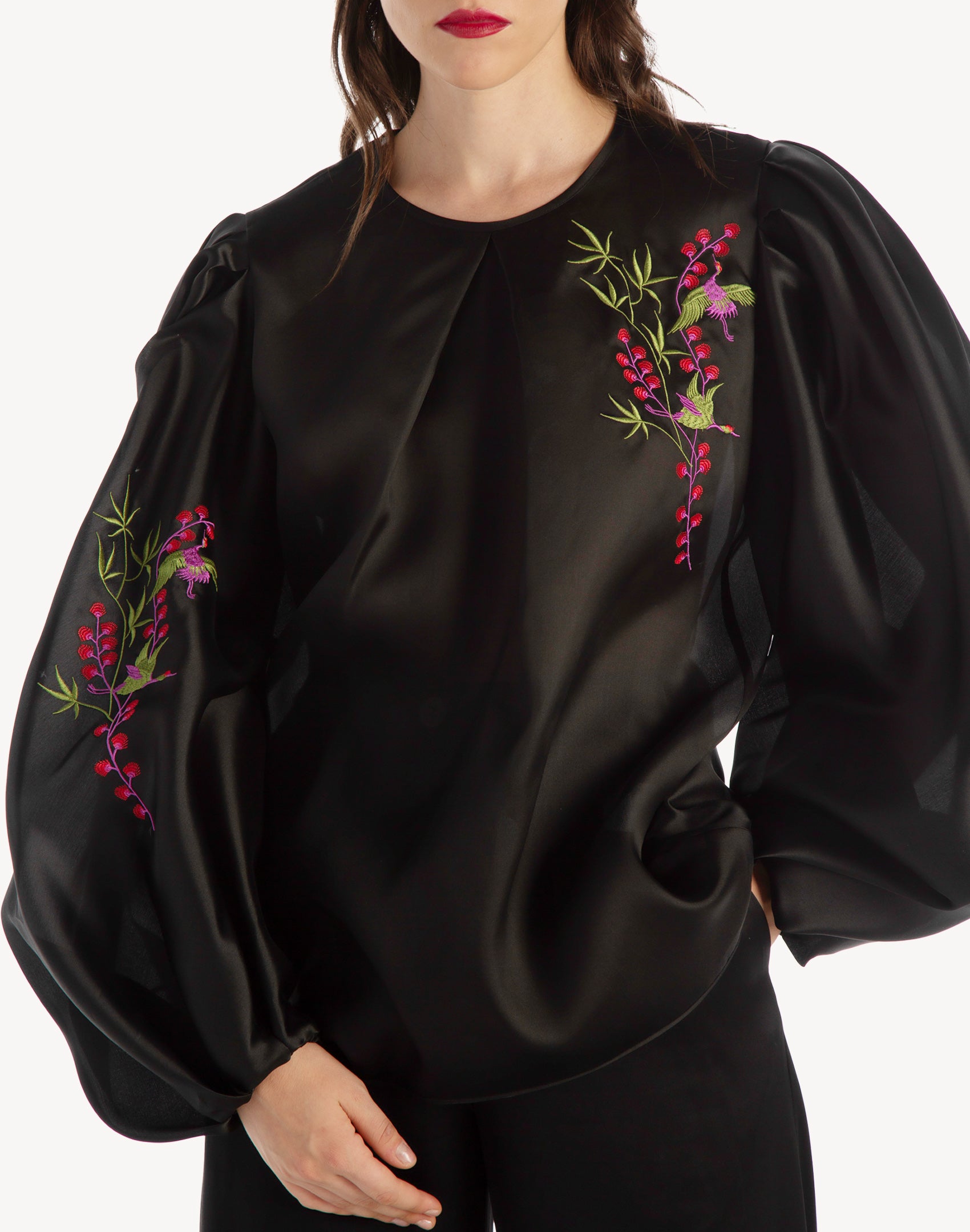 Embroidered Organza Sleeve blouse