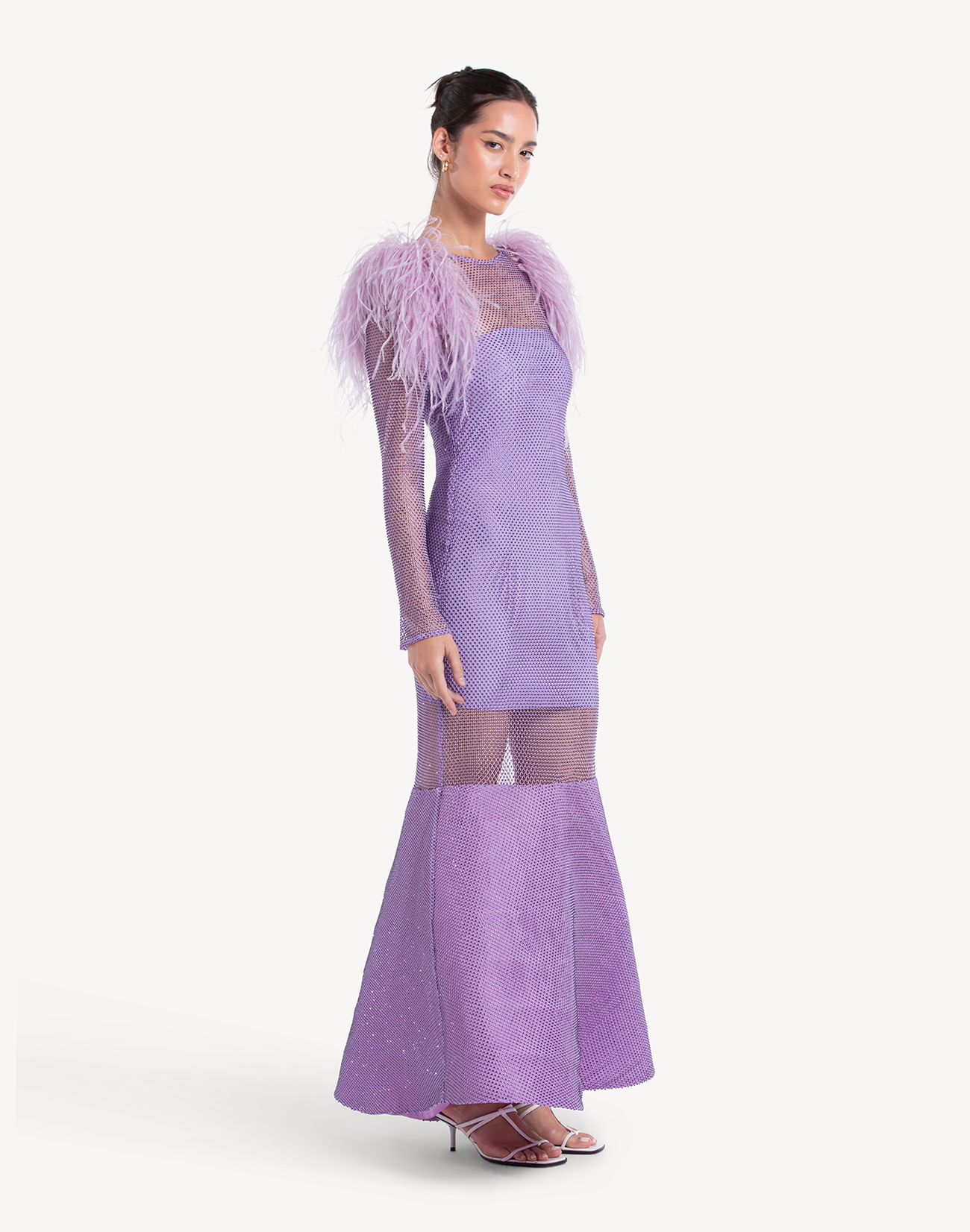 Eclipse Crystal Feather-trimmed Gown