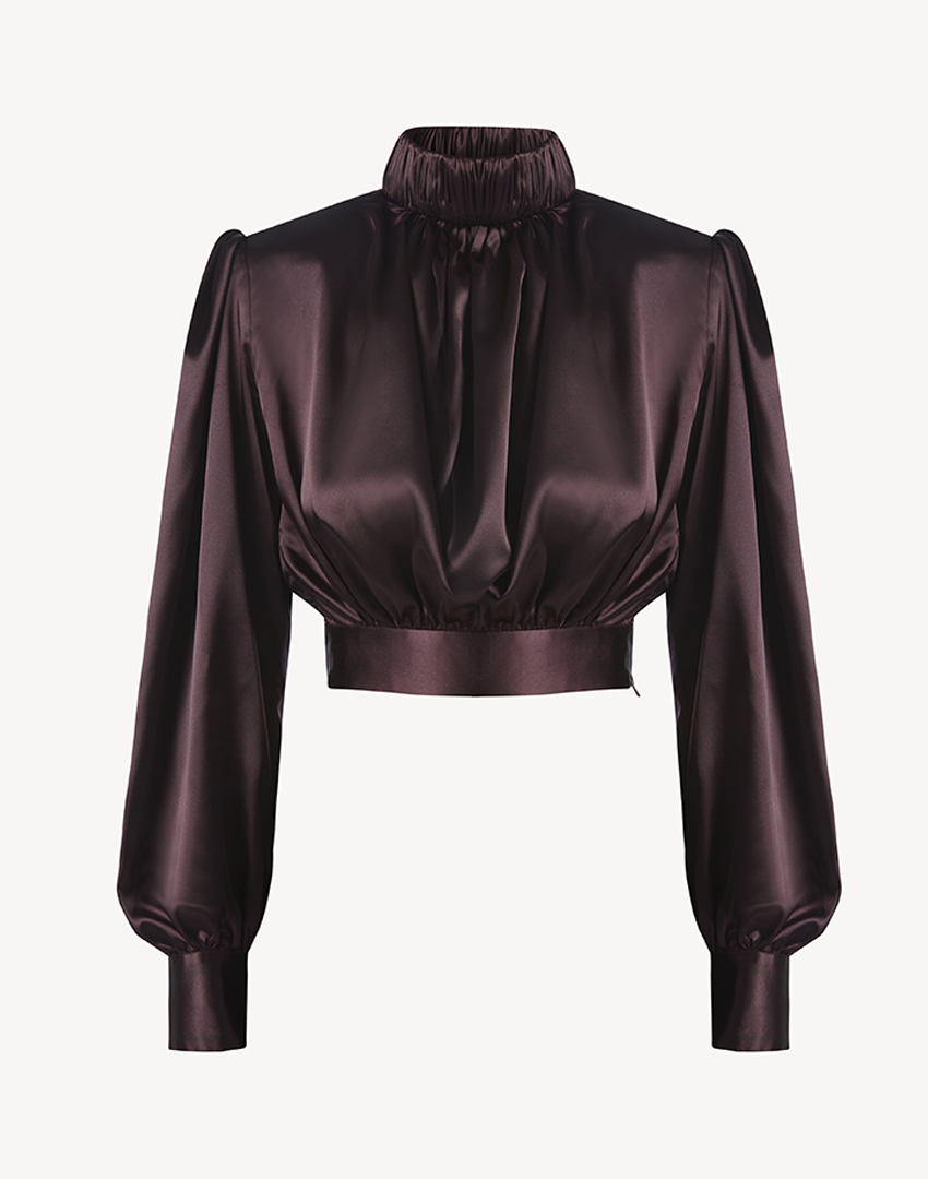 Satin High Pleated Neck Blouse