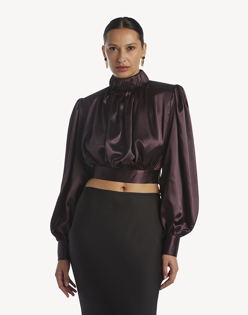 Satin High Pleated Neck Blouse