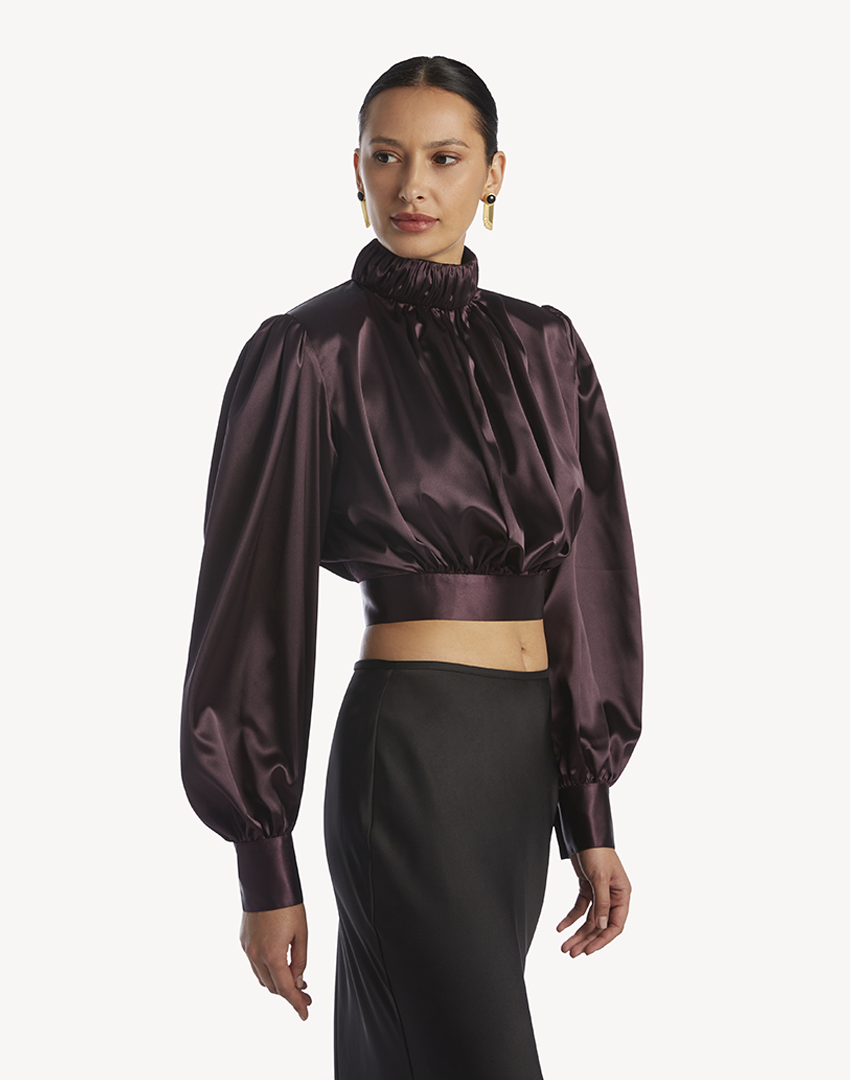 Satin High Pleated Neck Blouse